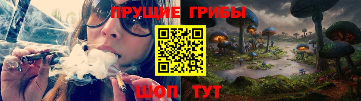 Псилоцибиновые грибы GOLDEN TEACHER Печора